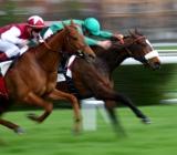 activities for group Paris, horse racing paris, Activites groupe Paris