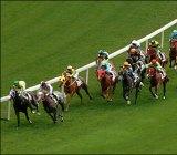 horse racing paris horse racing paris