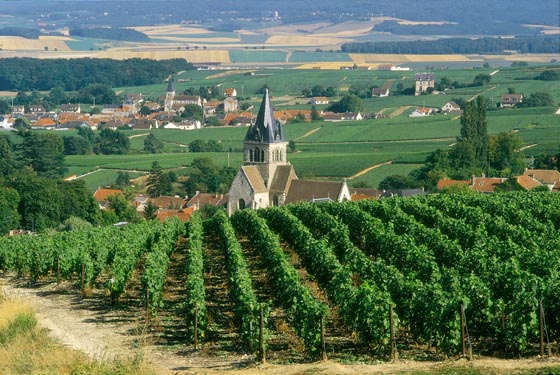 champagne tours by coach champagne tours by coach