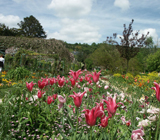 Giverny 3 Giverny 3