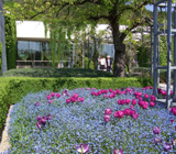 Giverny 2 Giverny 2