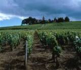 Burgundy Wine Tours Coach